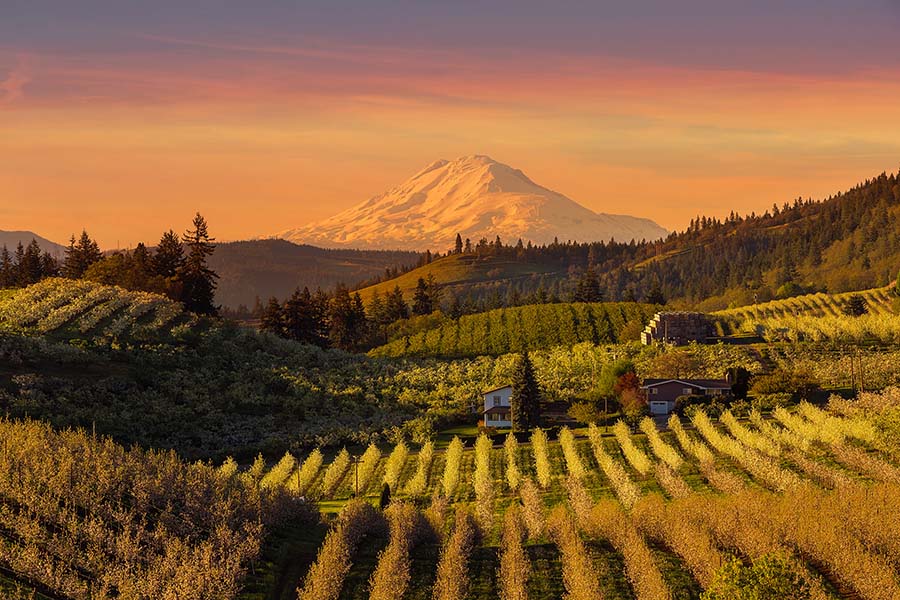 Contact - Farm Fields and Hills In the Oregon Countryside with Views of a Mountain in the Background Against a Colorful Sunset Sky